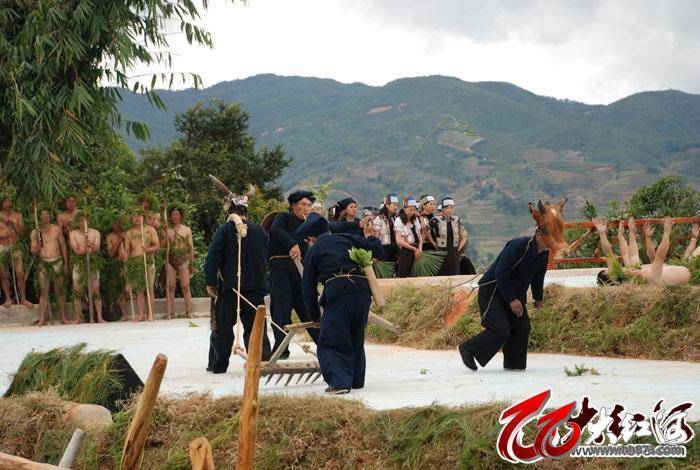 哈尼棕扇舞.jpg